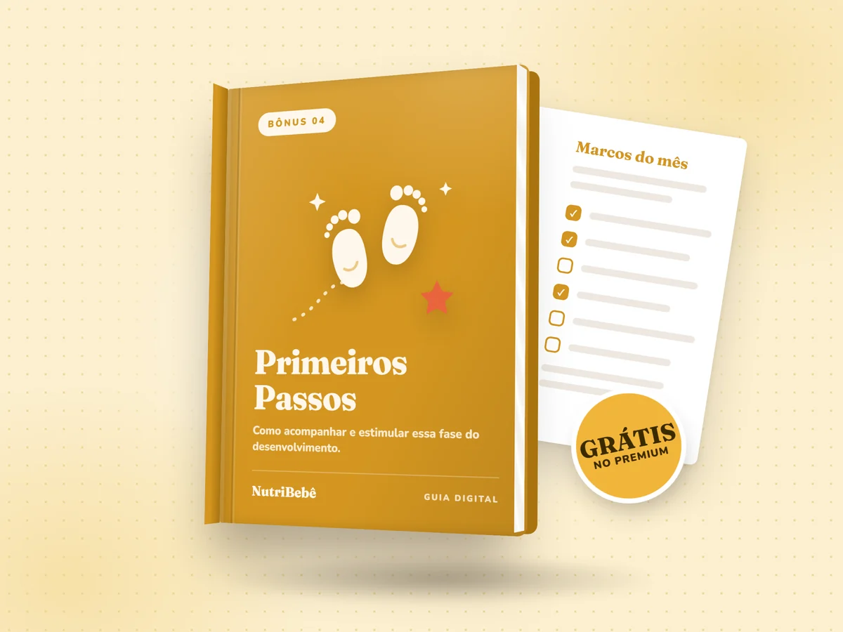Primeiros Passos